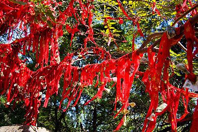 美国FTC考虑加大权力 打击虚假和被操纵的评测