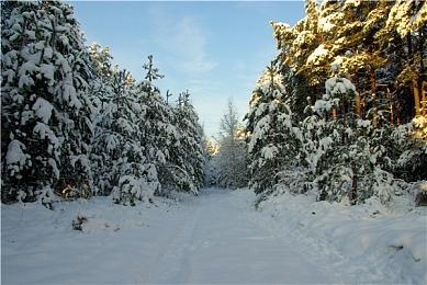 《守望先锋2》第19赛季开启 多项新玩法以及调整